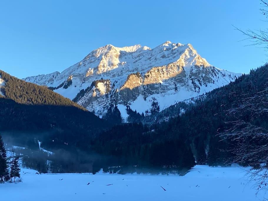 Le Bel Appartement De Montagne Bellevaux Exteriör bild