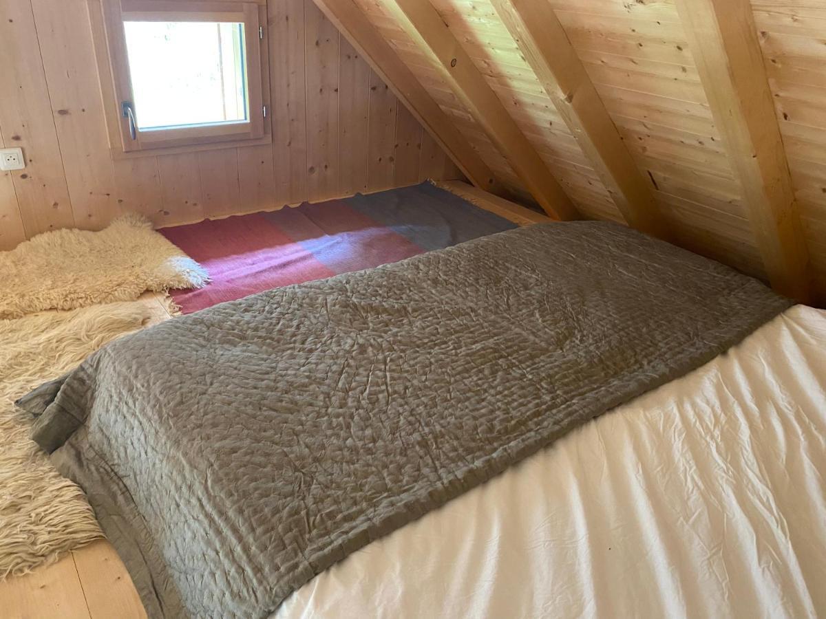 Le Bel Appartement De Montagne Bellevaux Exteriör bild